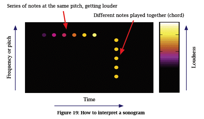 principles of a sonogram